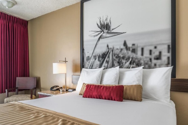 Kings Inn Anaheim at The Park & Convention Center image 14